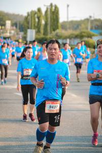 BIB: 343, 9437
                            <button type="button" onclick="openModal(3215955)" class="btn btn-primary btn-sm float-right btn-popup" data-toggle="modal" data-target=".modal-high-quality">
                        <i class="fas fa-shopping-cart"></i> Add to Cart
                    </button>
                                            <button type="button" onclick="isThisMe(3215955, true)" class="btn btn-success btn-sm float-right btn-popup btn-isme hidden" data-toggle="tooltip" data-placement="bottom" title="นี่คือรูปของคุณใช่ไหม คลิกที่นี่เพื่อเอาเข้าอัลบั้ม">
                        <i class="fas fa-plus"></i> Add to album
                    </button>
                    <button type="button" onclick="isThisMe(3215955, false)" class="btn btn-warning btn-sm float-right btn-popup btn-isnotme hidden">
                        <i class="fas fa-ban"></i> Remove from album
                    </button>